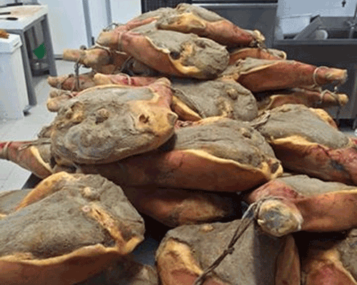 PROSCIUTTO INTERO 24 MESI