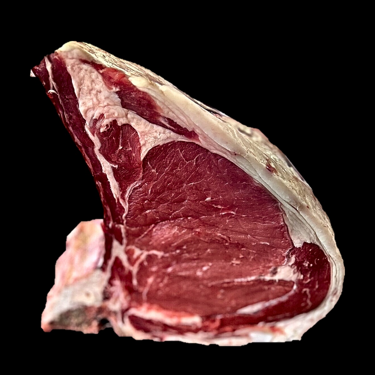 Bistecca alla fiorentina taglio costola su fondo nero, in piedi sull’osso: l’occhio di carne e il bordo di grasso